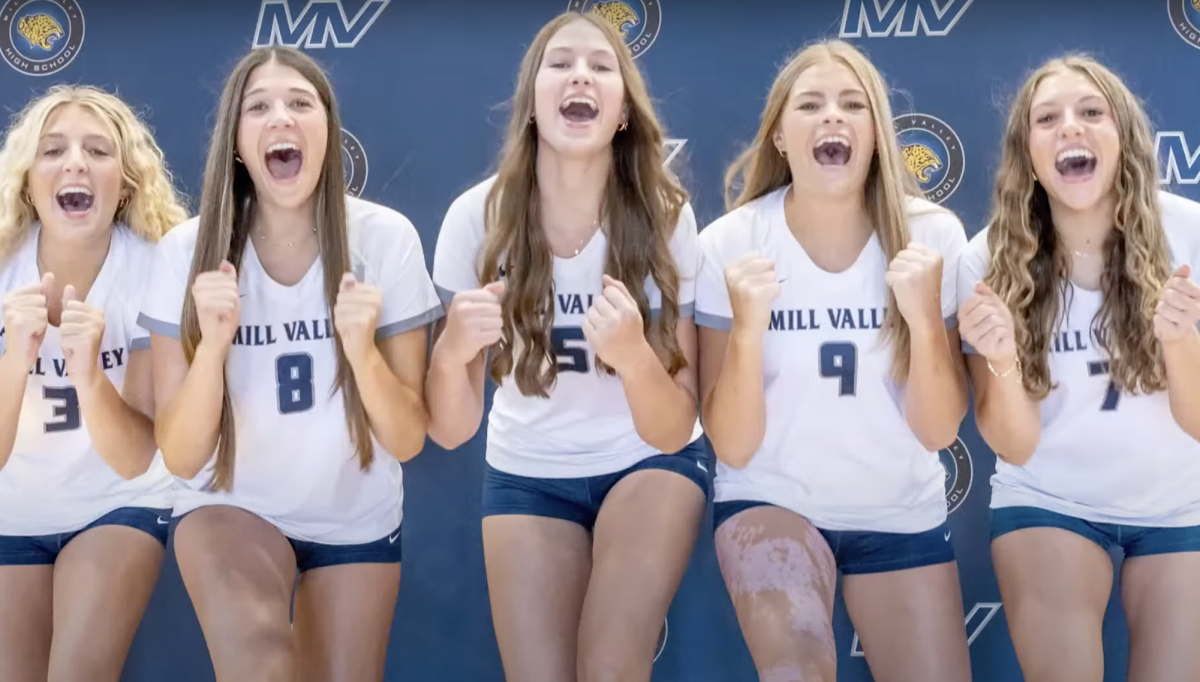 Video: Volleyball Media Day